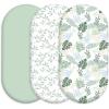 Sage Green Leave